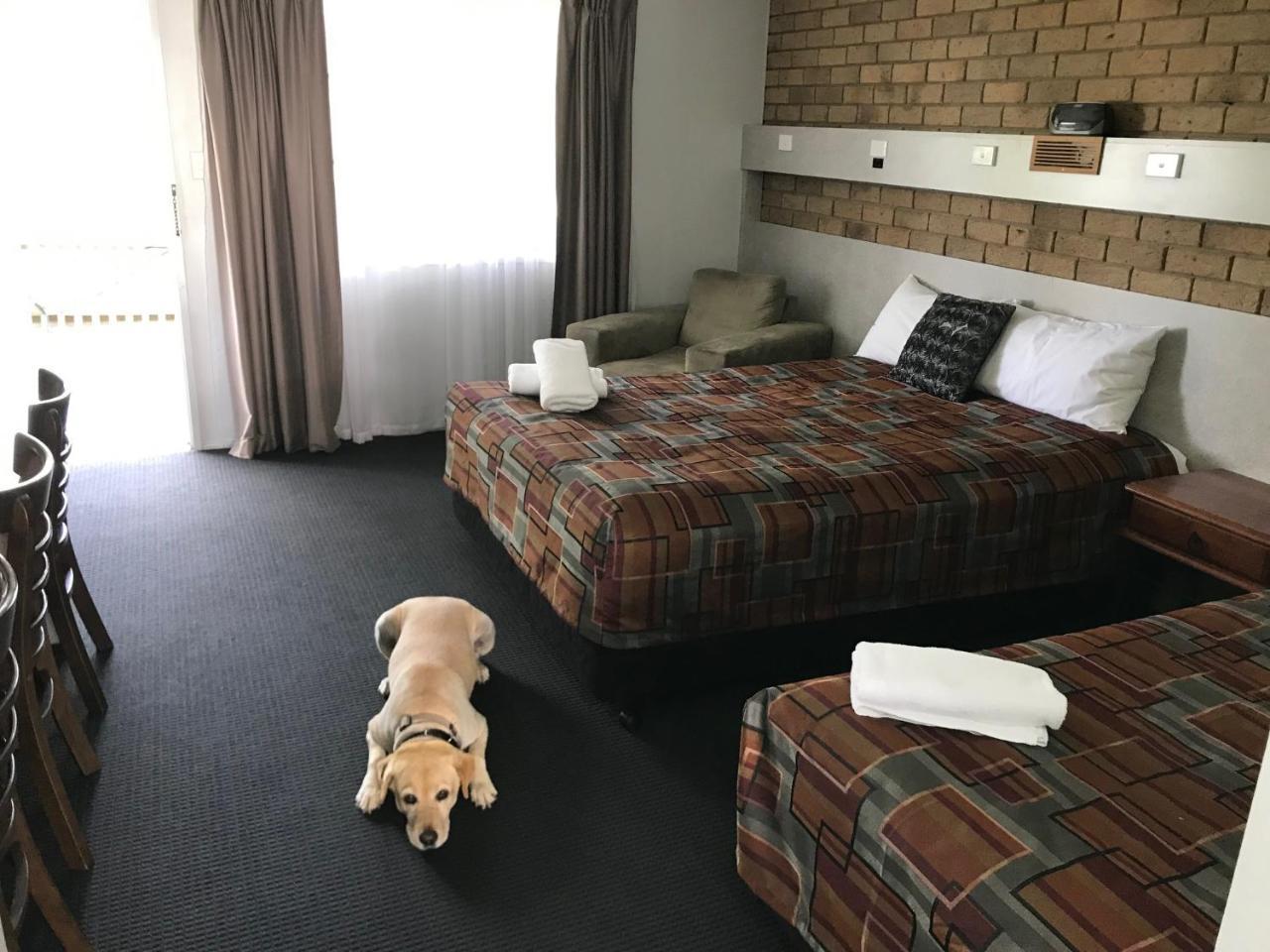 True Blue Motor Inn Rockhampton Kültér fotó